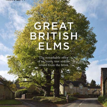 Great British Elms
