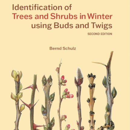 Identification of Trees and Shrubs in Winter