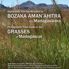 Collection image for: Taxonomy and systematics Books