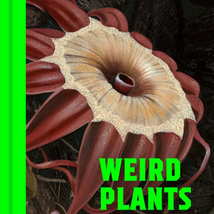 Weird Plants
