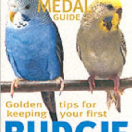 Budgie