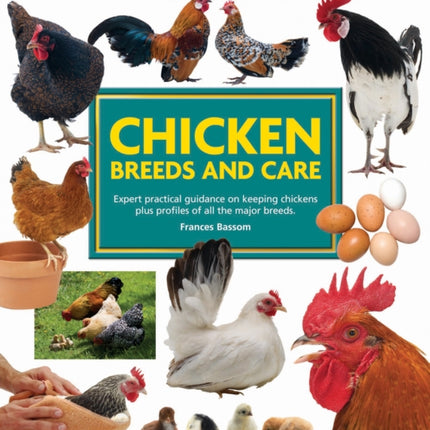 Mini Encyclopedia of Chicken Breeds and Care