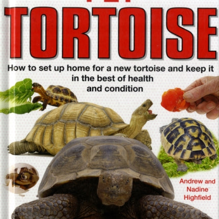 Keeping a Pet Tortoise