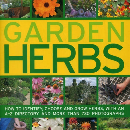 Complete Guide to Garden Herbs