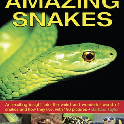 Exploring Nature: Amazing Snakes: an Exciting Insight into the Weird and Wonderful World of Snakes and How They Live, with 190 Pictures