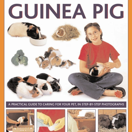 How to Look After Your Guinea Pig