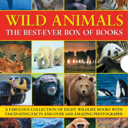 Wild Animals Best Ever Box of Books