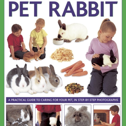 How to Look After Your Pet Rabbit