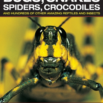 Explore the Deadly World of Bugs, Snakes, Spiders, Crocodiles