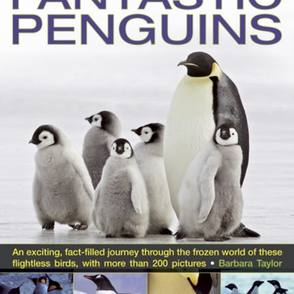 Exploring Nature: Fantastic Penguins: An Exciting, Fact-filled Journey Through the Frozen World of These Flightless Birds, with More Than 200 Pictures