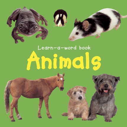 Learn-a-word Book: Animals