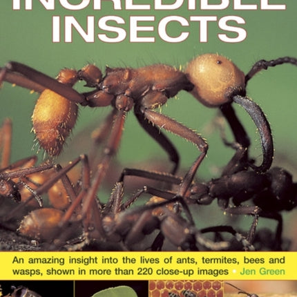 Exploring Nature: Incredible Insects: An Amazing Insight into the Lives of Ants, Termites, Bees and Wasps, Shown in More Than 220 Close-up Images