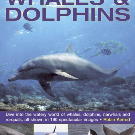 Exploring Nature: Whales & Dolphins: Dive into the Watery World of Whales, Dolphins, Narwhals and Rorquals, All Shown in 190 Spectacular Images