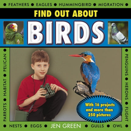 Find Out About Birds: with 16 Projects and More