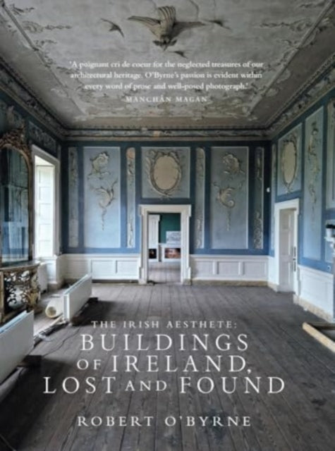 The Irish Aesthete Buildings of Ireland Lost and Found