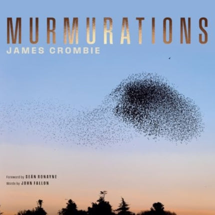 Murmurations
