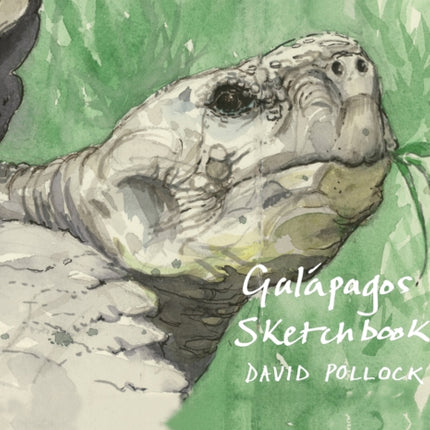 Galápagos Sketchbook