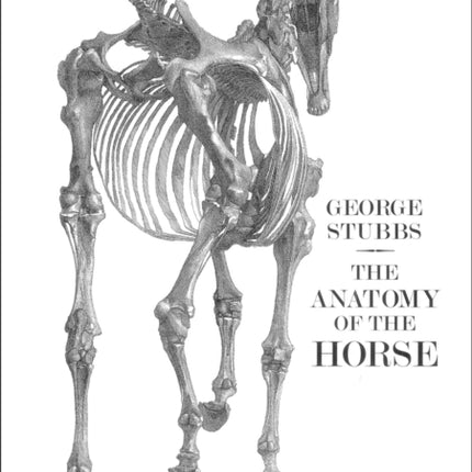 The Anatomy of the Horse