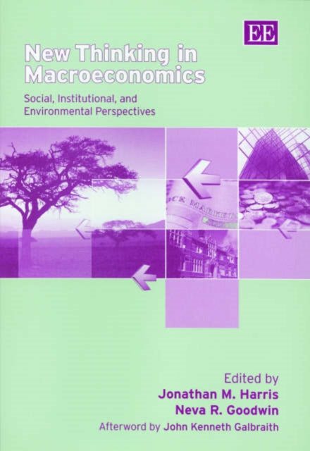 New Thinking in Macroeconomics: Social, Institutional, and Environmental Perspectives