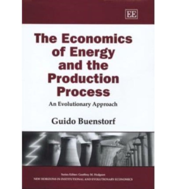 The Economics of Energy and the Production Process: An Evolutionary Approach