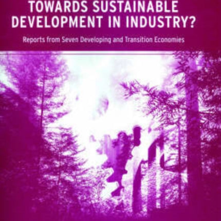 Towards Sustainable Development in Industry?: Reports from Seven Developing and Transition Economies