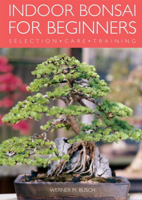 Indoor Bonsai for Beginners Selection  Care  Training