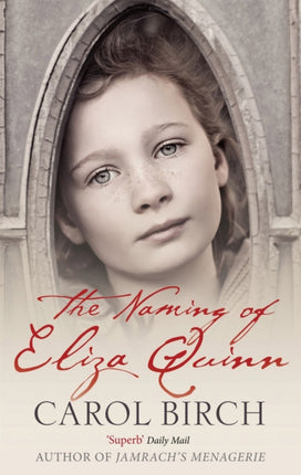 The Naming Of Eliza Quinn