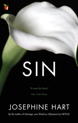 Sin: By the author of DAMAGE, inspiration for the Netflix series OBSESSION