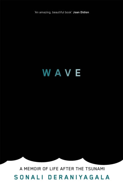 Wave: A Memoir of Life After the Tsunami