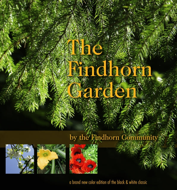 The Findhorn Garden Story: Inspired Color Photos Reveal the Magic