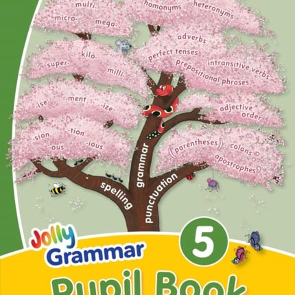 Grammar 5 Pupil Book: In Print Letters (British English edition)