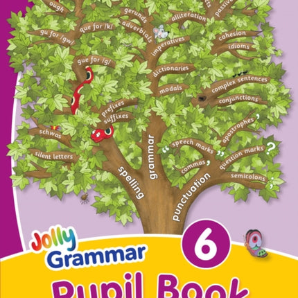 Grammar 6 Pupil Book: In Precursive Letters (British English edition)