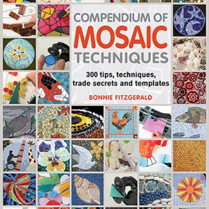 Compendium of Mosaic Techniques: 300 Tips, Techniques, Trade Secrets and Templates