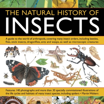 Natural History of Insects