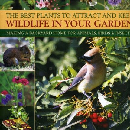 Best Plants to Attract and Keep Wildlife in the Garden