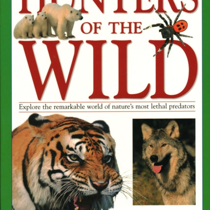 Hunters of the Wild: Explore the remarkable world of nature's most lethal predators