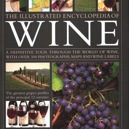 The New Illustrated Guide to Wine: An illustrated guide to the vineyards of the world, the best grape varieties and the practicalities of buying, keeping, serving and drinking wine - with over 450 photographs, maps and wine labels