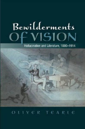 Bewilderments of Vision: Hallucination and