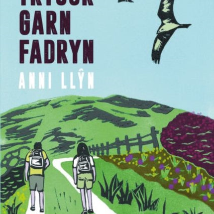 Cyfres Amdani: Trysor Garn Fadryn