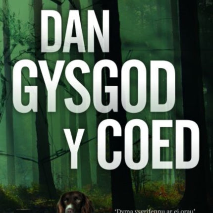 Dan Gysgod y Coed