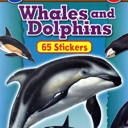 Whales and Dolphins