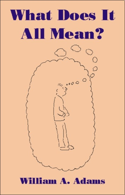 What Does it All Mean?: A Humanistic Account of Human Experience