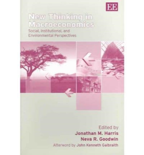 New Thinking in Macroeconomics: Social, Institutional, and Environmental Perspectives