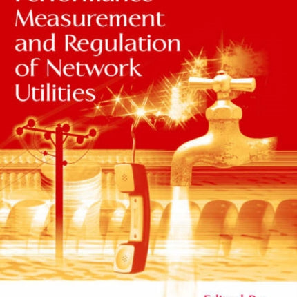 Performance Measurement and Regulation of Network Utilities