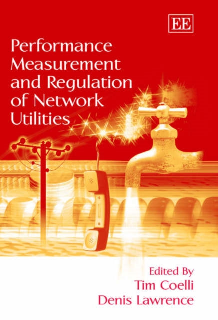 Performance Measurement and Regulation of Network Utilities