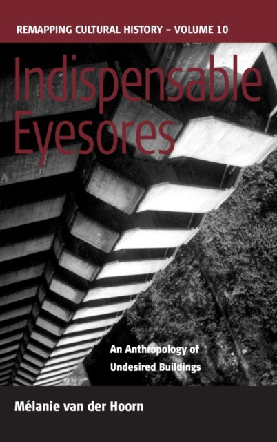 Indispensable Eyesores: An Anthropology of