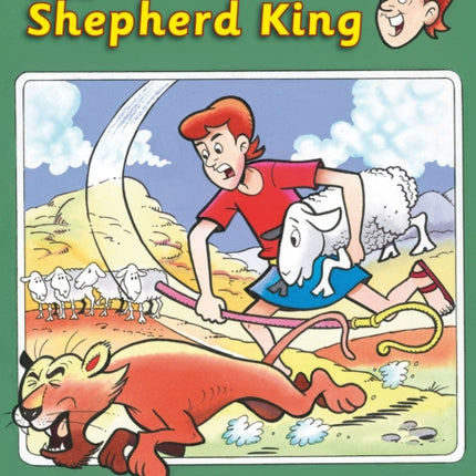 The Shepherd King: A puzzle book about David