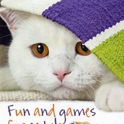 Fun and Games for Cats