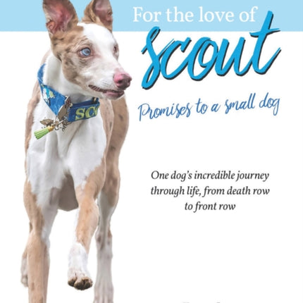 For the Love of Scout: Promises to a Small Dog