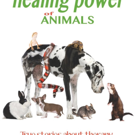 Unleashing the Healing Power of Animals